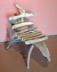 ����ץ�μ̿�